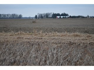 Property photo 28 - 175 Acres Offered in 5 Tracts - Tontogany, Ohio Farm Land Auction